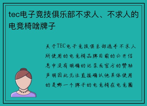 tec电子竞技俱乐部不求人、不求人的电竞椅啥牌子